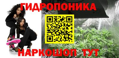 хмурый Обь