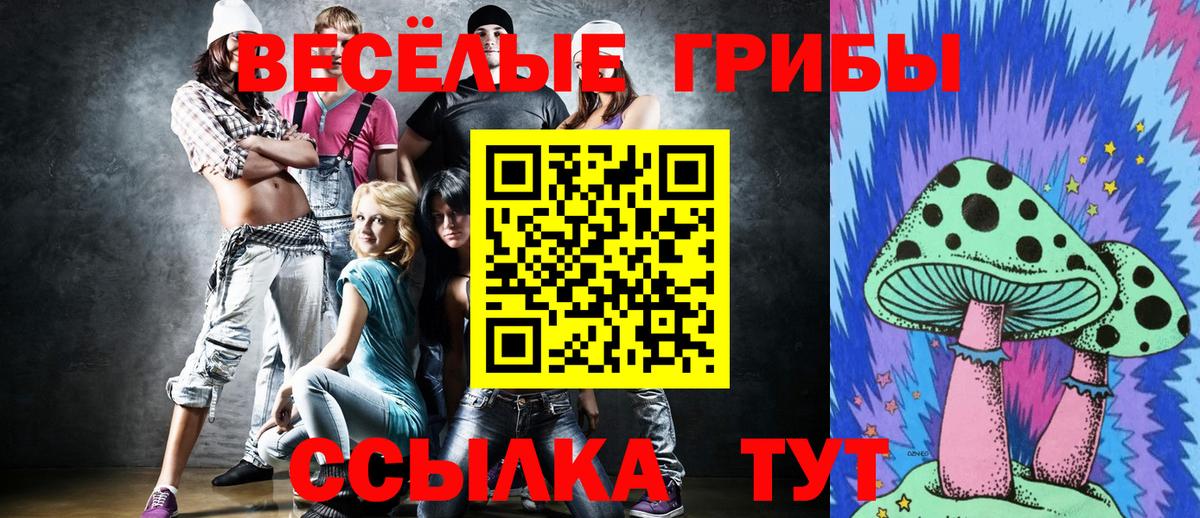 Псилоцибиновые грибы ЛСД  Вход с VPN  Славянск-на-Кубани 